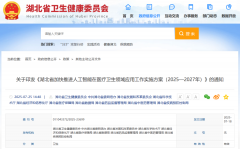家人工智能病院示范